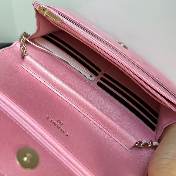 NEW UNBOXED RARE Cloudy pearly goatskin gold hardware iridescent pink - Picture 7 of 14